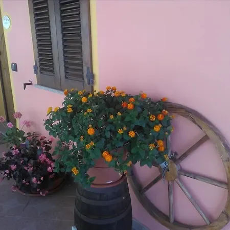 فندق مبيت وإفطار Tatti Nughedu Santa Vittoria